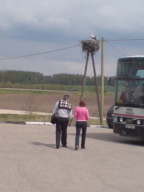 BZC