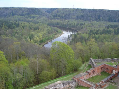 BZI